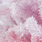 pink+white