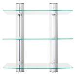 3 Tier Wall Mount Adjustable Glass Shelving Unit with Aluminum Bars - Danya B.