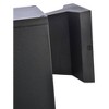 Elegant Lighting Raine Outdoor Wall in black - 3 of 4