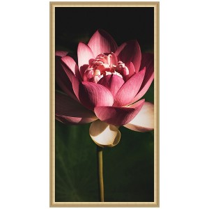 Kate and Laurel Midnight Lotus Flower by Stephanie Klatt Framed Wall Art Print, 22 x 42, Florence Gold - 1 of 4
