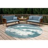 Liora Manne Capri Coastal Indoor/Outdoor Rug.. - 3 of 4