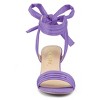 Allegra K Women's Back to College Open Toe Ankle Tie Back Block Heels Sandals - 2 of 4