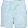 Lands' End Men's 5 Inch Volley Swim Trunk - 3 of 4