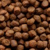 Stella & Chewy's Pork, Beef and Lamb Flavor Wild Red Raw Coated Grain and Legume Free Dry Dog Food - 3.5lbs - 4 of 4