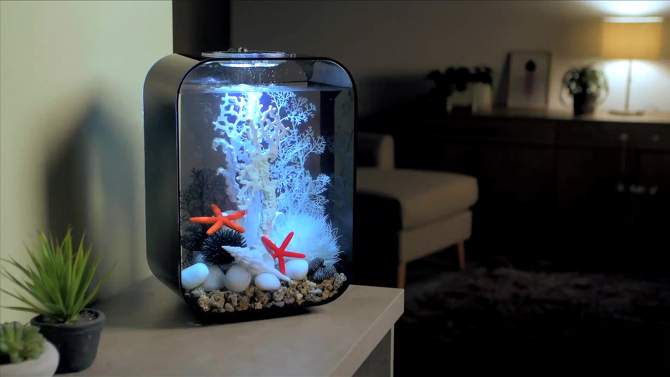biOrb Fan Coral Ornament Aquarium Sculptures - White, 5 of 6, play video
