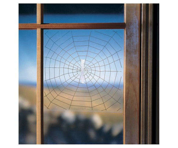 Droll Yankees Warning Web Window Cling