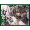 Cobble Hill: Master Of The North 1000 Piece Puzzle - 4 of 4