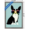Trends International Andy Westface - Boston Terrier Work Hard Framed Wall Poster Prints - 3 of 4
