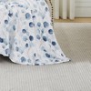 RT Designer's Collection Key Largo Printed Premium Flannel Throw Blanket 50" x 60" Multicolor - 3 of 4
