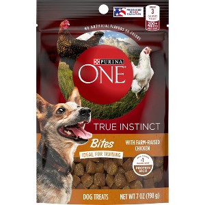 Purina ONE Chicken Flavor Training Dog Treats - 7oz - 1 of 4