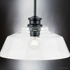 Urban Ambiance Luxury Transitional Indoor Pendant,  8-1/2''H x 14"W x 14''D,  Matte Black Finish, UHP4890 - 4 of 4