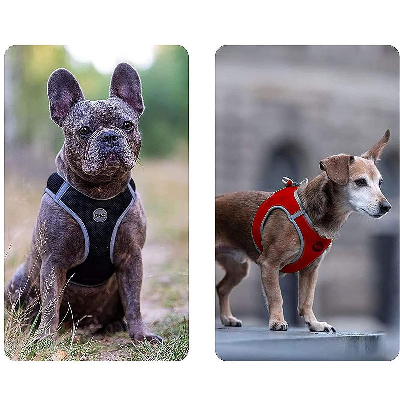 DDOXX Adjustable Nylon Step-in Dog Harness, Medium, Red, 3 of 5