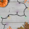 Northlight LED Christmas Lights - Purple, Green and Orange - 16.25' Black Wire - 50ct - 2 of 3