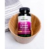 Swanson Dietary Supplement Green Lipped Mussel 500 mg Capsule 60ct. - 4 of 4