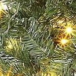 green ( with led lights )