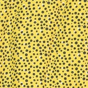 yellow-ylb
