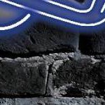 clear push pins bundle