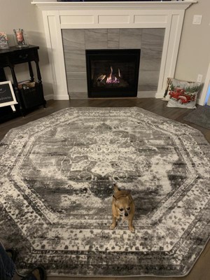 Guest review image 1 of 2, zoom in