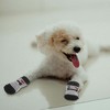Unique Bargains  Dog Cats Non-Slip Socks Paw Protection and Traction Black Gray 4 Pcs - 4 of 4