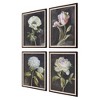 Uttermost Florals on Black Prints-White Flowers with Blue, Lilac & Rose Pink Accents, Set of 4 - 4 of 4