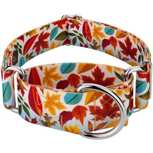 Country Brook Petz 1 1/2 Inch Martingale Dog Collar - Awesome Autumn Collection - 1 of 4