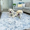 Hauteloom Ankti Aqua Washable Area Rug - 2 of 4