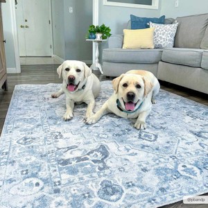 Hauteloom Ankti Aqua Washable Area Rug - 1 of 4