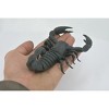 Collectible Wildlife Gifts | Scorpion, Black, Solid Rubber, Arachnids, Realistic, Model,  Toy,  Educational, Gift,           7"        F1974 B210 - 3 of 4