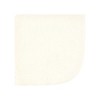 Hudson Baby Infant Boy Flannel Cotton Washcloths, Brave Lion 12 Pack, One Size - 4 of 4
