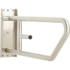 Seachrome 30-inch Swing-Up Bathroom Handicap Grab Bar - 1 of 1