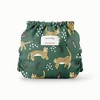 Esembly Cloth Diaper Outer Reusable Diaper Cover & Swim Diaper - (Select Pattern and Size) - 3 of 4