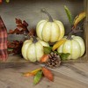Northlight Antiqued Crackle Finish Fall Harvest Pumpkins - 4" - Set of 3 - Yellow - 2 of 3