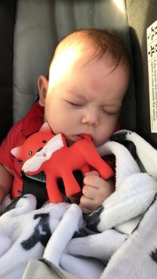 infantino fox teether