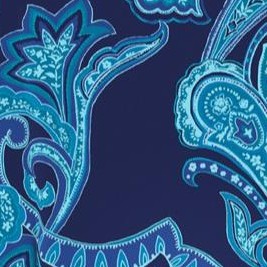 navy paisley