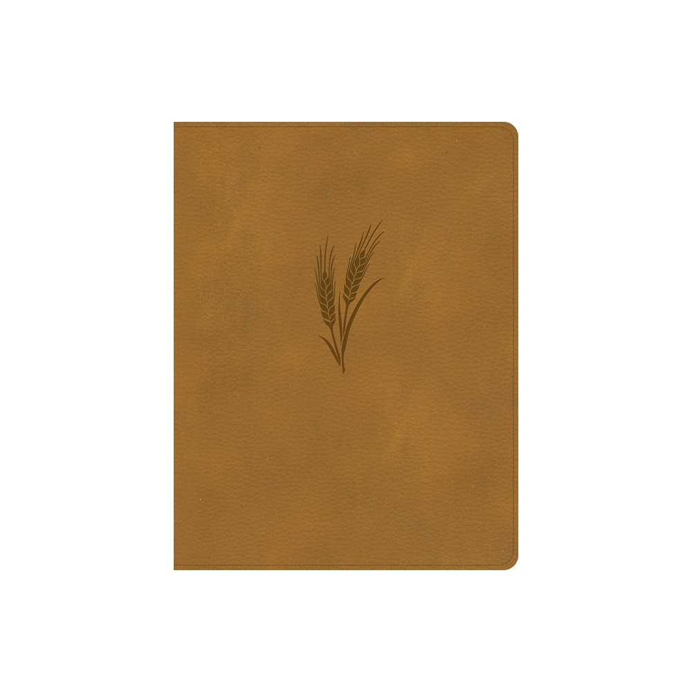 CSB Notetaking Bible, Large Print Edition, Camel Leathertouch - by Csb Bibles by Holman (Leather Bound)