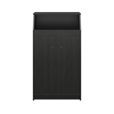 Ameriwood Home The Loft 2 Door Storage Tower
