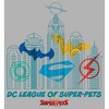 Boy's DC League of Super-Pets Metropolis Skyline Outline T-Shirt - 2 of 4