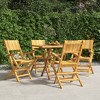 vidaXL Folding Patio Chairs, Set of 4- Solid Teak Wood, Foldable Design, Suitable for Outdoor Deck, Garden, Patio, Backyard - 21.7"x24"x35.4" - 2 of 4