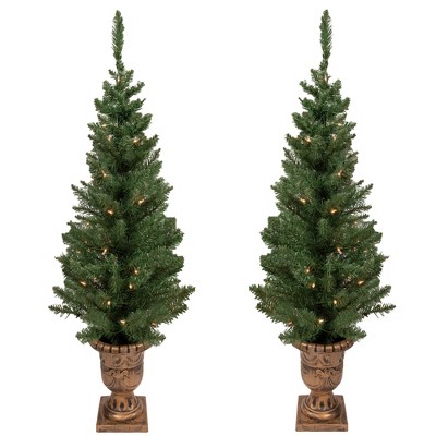 Northlight 2ct Prelit Artificial Christmas Tree Potted Porch Pine Topiary - Clear Lights
