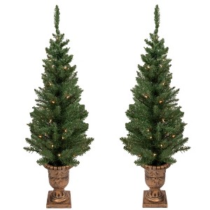 Northlight 2ct Prelit Artificial Christmas Tree Potted Porch Pine Topiary - Clear Lights - 1 of 4