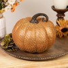 Northlight Embossed Pumpkin Fall Harvest Decoration - 7.5" - 2 of 4