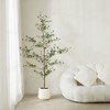 DR.Planzen 84" Artificial Olive Tree - 7FT UV Resistant Fake Plant with Black Fruits in 10.5" White Pot for Indoor/Outdoor Floor & House Decor - 3 of 4
