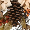 22" Artificial Autumn Wreath with Pinenuts, Gourds, Berries and Pinecones - National Tree Company - 4 of 4