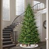 Puleo 12' Pre-Lit Artificial Hillside Spruce Tree - 3 of 4