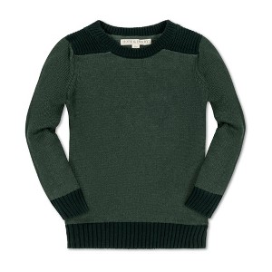 Hope & Henry Boys' Organic Long Sleeve Shoulder Detail Crew Neck Pullover Sweater, Kids - 1 of 4
