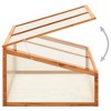 vidaXL Greenhouse Orange Solid firwood with PC board Medium - 3 of 4