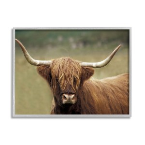 Stupell Industries Highland Cattle Shaggy Hair Country Animal Portrait Photography - 1 of 4