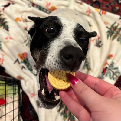 Guest review image 4 of 4, zoom in