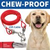 MeasuPro 25-Foot Durable Dog Leash for Training and Walking - 3 of 4