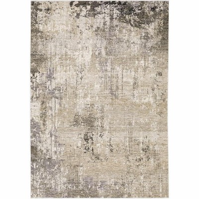 Oriental Weavers Nebulous 002X9 Beige/ Grey Indoor Area Rug - 3'3" x 5'